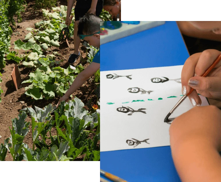 Sociale ontwikkeling en behoud van cultuur en natuur Sociale ontwikkeling en behoud van cultuur en natuur